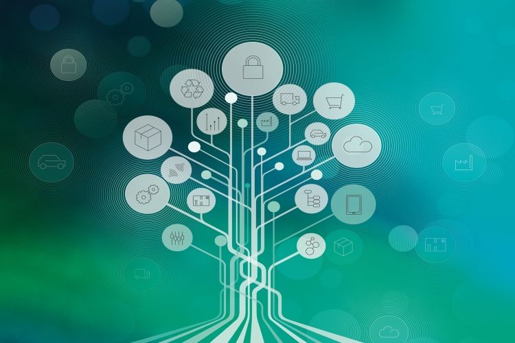 IDS-Zertifikat, Produktzertifizierung, IT-Sicherheit, Seminar